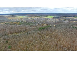 Property photo 2 - REAL ESTATE AUCTION - 1,428+/- ACRES OFFERED IN 10 TRACTS IN PRICE CO., WI